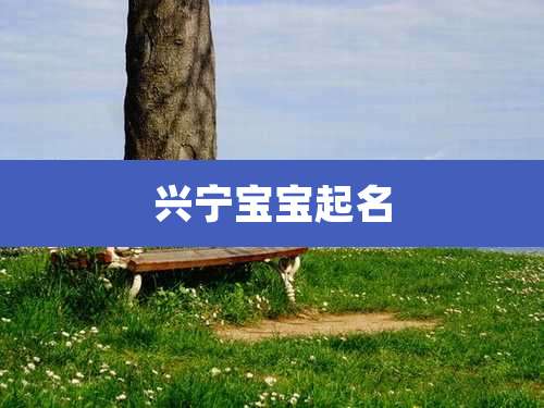 兴宁宝宝起名