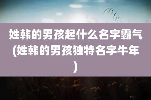 姓韩的男孩起什么名字霸气(姓韩的男孩独特名字牛年)