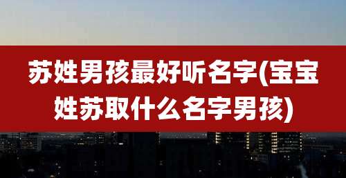 苏姓男孩最好听名字(宝宝姓苏取什么名字男孩)
