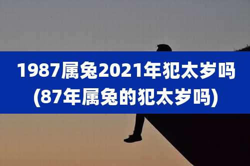 1987属兔2021年犯太岁吗(87年属兔的犯太岁吗)
