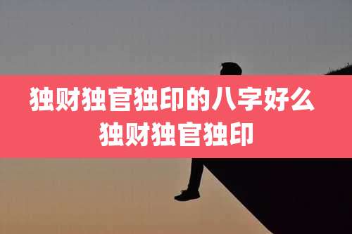 独财独官独印的八字好么 独财独官独印