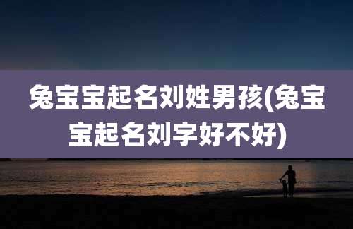 兔宝宝起名刘姓男孩(兔宝宝起名刘字好不好)