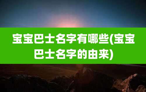 宝宝巴士名字有哪些(宝宝巴士名字的由来)