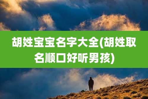 胡姓宝宝名字大全(胡姓取名顺口好听男孩)