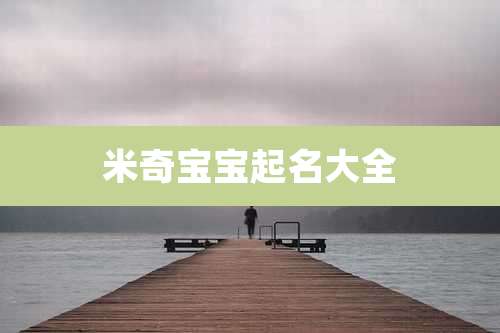 米奇宝宝起名大全