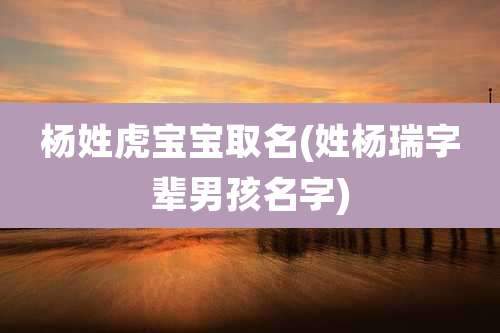 杨姓虎宝宝取名(姓杨瑞字辈男孩名字)