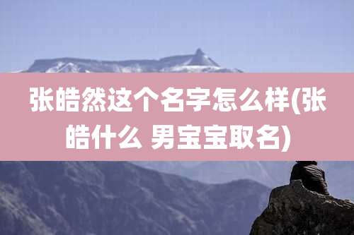 张皓然这个名字怎么样(张皓什么 男宝宝取名)