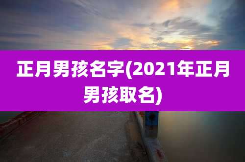 正月男孩名字(2021年正月男孩取名)