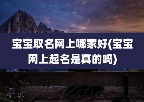 宝宝取名网上哪家好(宝宝网上起名是真的吗)