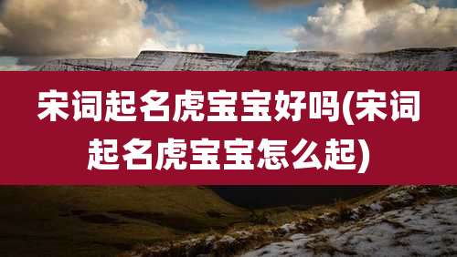 宋词起名虎宝宝好吗(宋词起名虎宝宝怎么起)