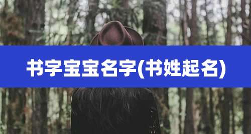书字宝宝名字(书姓起名)