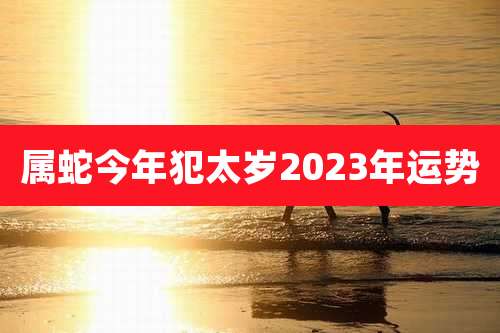 属蛇今年犯太岁2023年运势