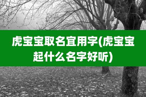 虎宝宝取名宜用字(虎宝宝起什么名字好听)
