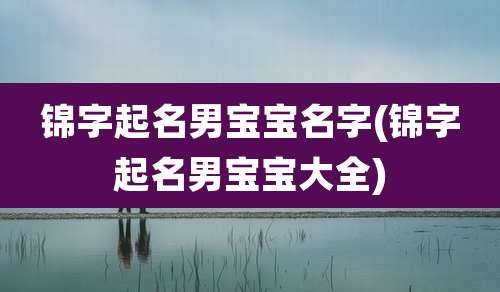 锦字起名男宝宝名字(锦字起名男宝宝大全)