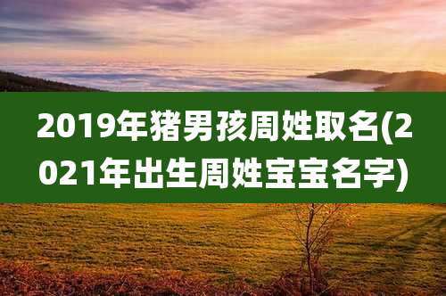 2019年猪男孩周姓取名(2021年出生周姓宝宝名字)