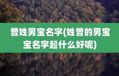 曾姓男宝名字(姓曾的男宝宝名字起什么好呢)