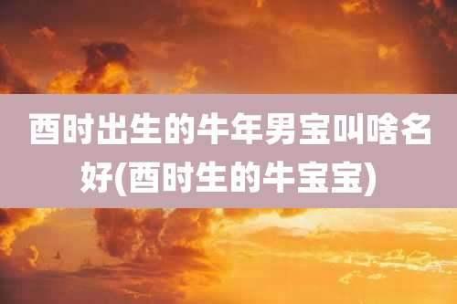 酉时出生的牛年男宝叫啥名好(酉时生的牛宝宝)