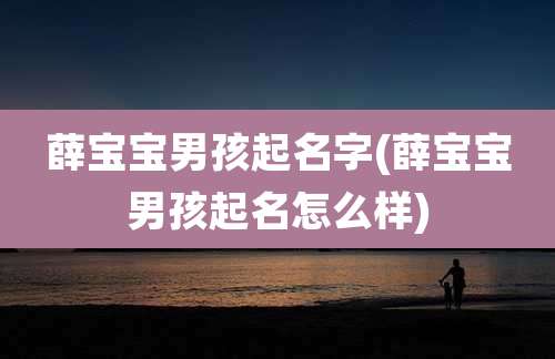 薛宝宝男孩起名字(薛宝宝男孩起名怎么样)