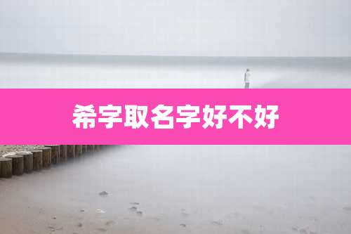 希字取名字好不好