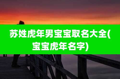 苏姓虎年男宝宝取名大全(宝宝虎年名字)