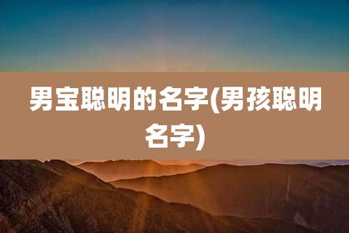 男宝聪明的名字(男孩聪明名字)