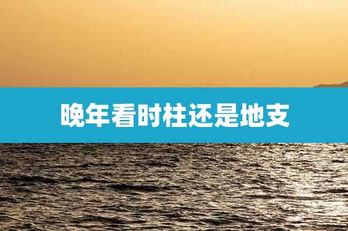 晚年看时柱还是地支