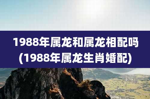 1988年属龙和属龙相配吗(1988年属龙生肖婚配)
