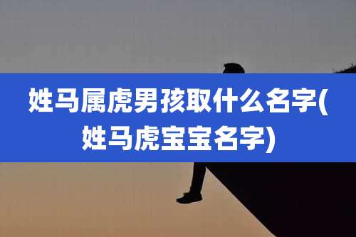 姓马属虎男孩取什么名字(姓马虎宝宝名字)