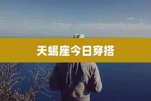天蝎座今日穿搭