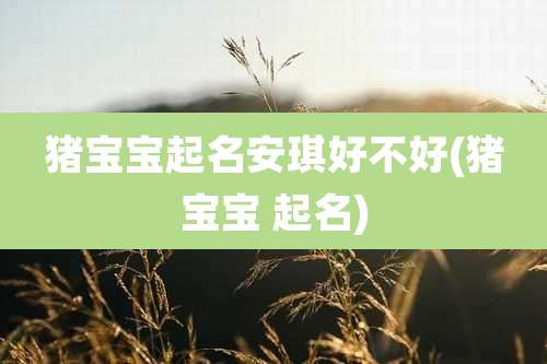 猪宝宝起名安琪好不好(猪宝宝 起名)