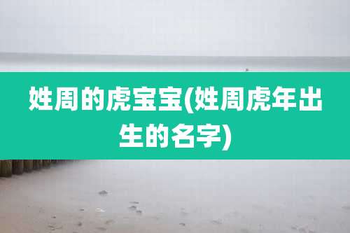 姓周的虎宝宝(姓周虎年出生的名字)