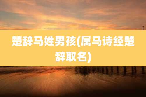 楚辞马姓男孩(属马诗经楚辞取名)