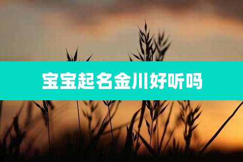 宝宝起名金川好听吗