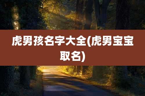 虎男孩名字大全(虎男宝宝取名)