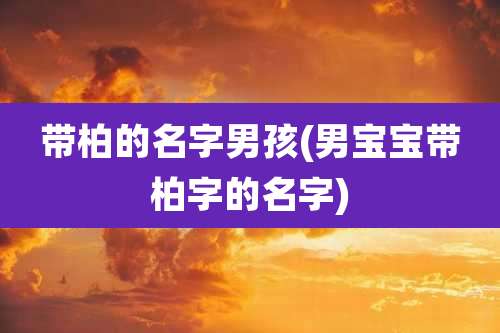 带柏的名字男孩(男宝宝带柏字的名字)