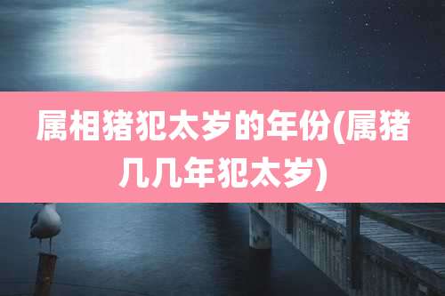 属相猪犯太岁的年份(属猪几几年犯太岁)