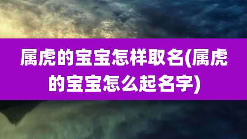 属虎的宝宝怎样取名(属虎的宝宝怎么起名字)