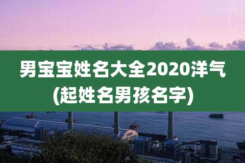 男宝宝姓名大全2020洋气(起姓名男孩名字)