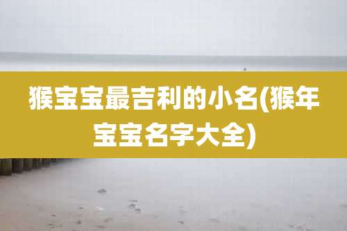 猴宝宝最吉利的小名(猴年宝宝名字大全)