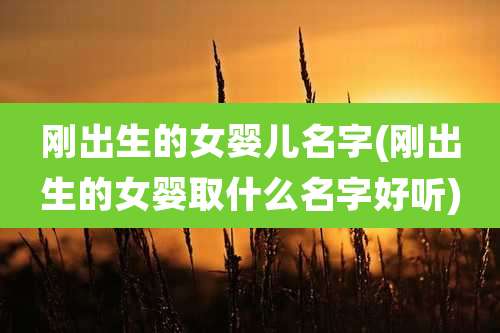 刚出生的女婴儿名字(刚出生的女婴取什么名字好听)