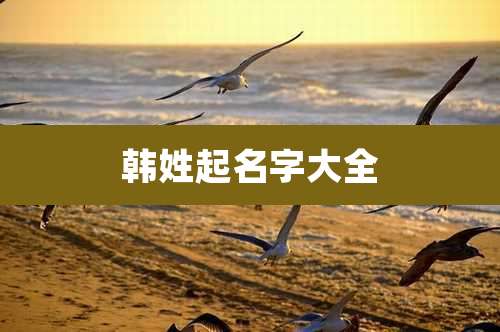 韩姓起名字大全