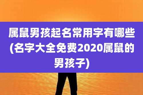 属鼠男孩起名常用字有哪些(名字大全免费2020属鼠的男孩子)