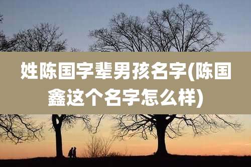 姓陈国字辈男孩名字(陈国鑫这个名字怎么样)