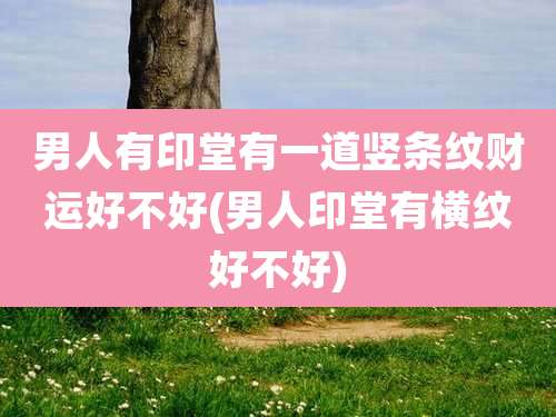 男人有印堂有一道竖条纹财运好不好(男人印堂有横纹好不好)