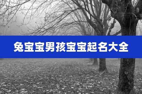 兔宝宝男孩宝宝起名大全