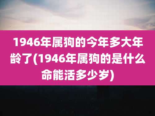 1946年属狗的今年多大年龄了(1946年属狗的是什么命能活多少岁)