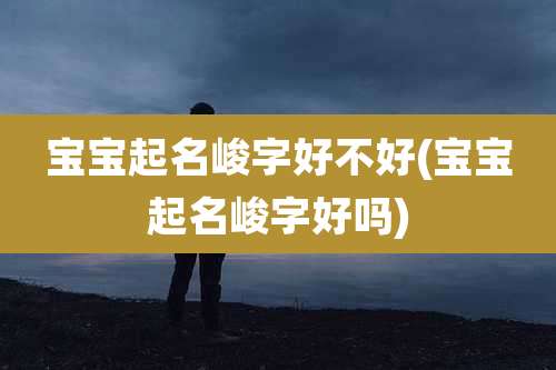 宝宝起名峻字好不好(宝宝起名峻字好吗)
