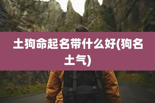 土狗命起名带什么好(狗名土气)