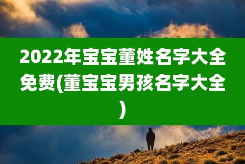 2022年宝宝董姓名字大全免费(董宝宝男孩名字大全)