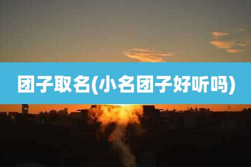 团子取名(小名团子好听吗)
